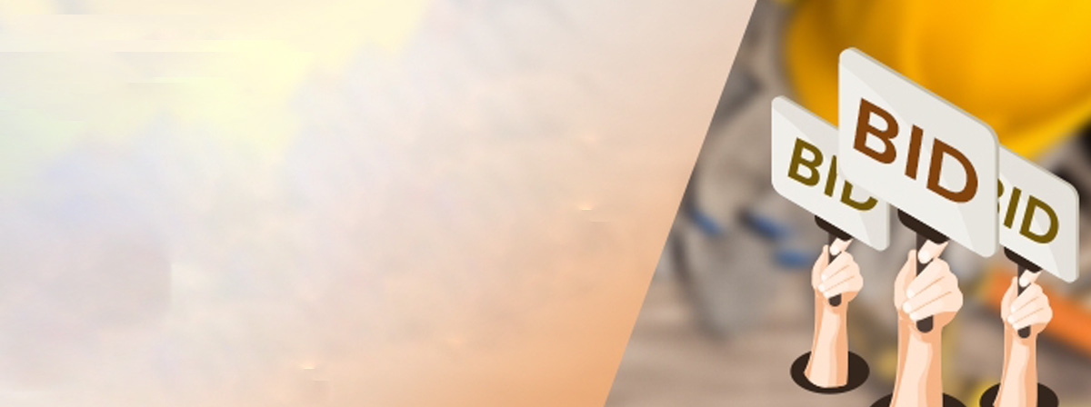 Case Study on Bid Management Software