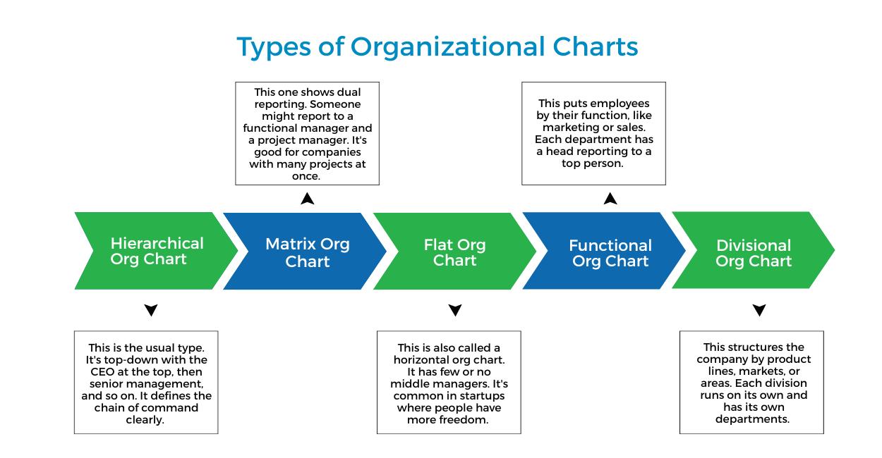 Types of Org Chart